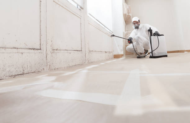 24/7 Emergency Attic Mold Removal experts in Florence, CO