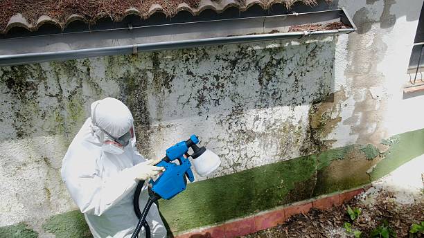 Trusted Bathroom Mold Removal service in Florence, CO - Cheap Mold Removal